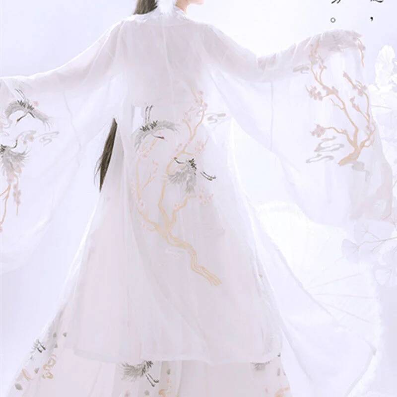 Chinese Ancient Hanfu Women's  - огляд і ціна Embroidery Skirt
