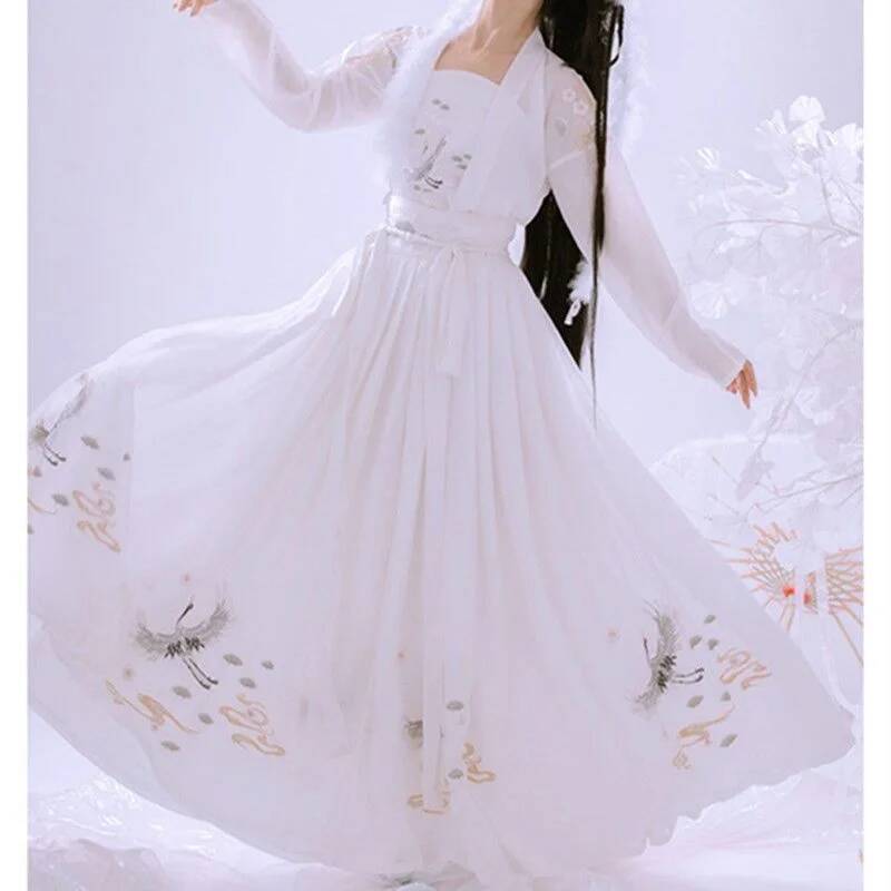 Chinese Ancient Hanfu Women's  - огляд і ціна Embroidery Skirt