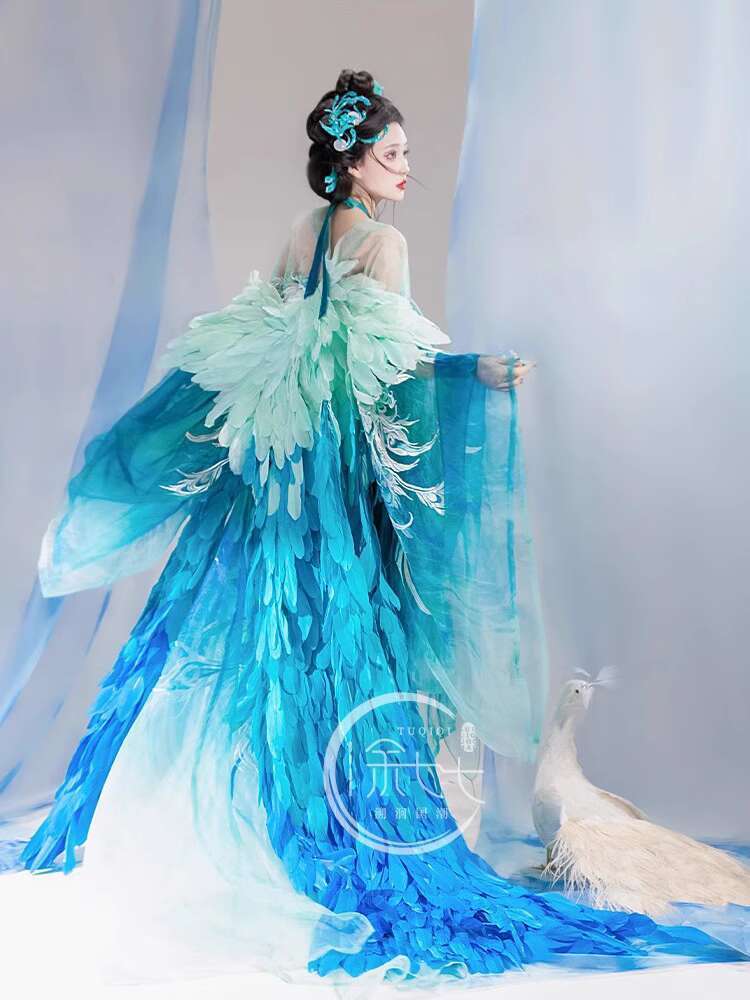 New Peacock Hanfu Womens fashi - огляд і ціна Embroidery Skirt